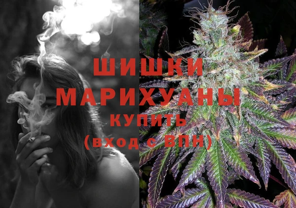мдпв Надым