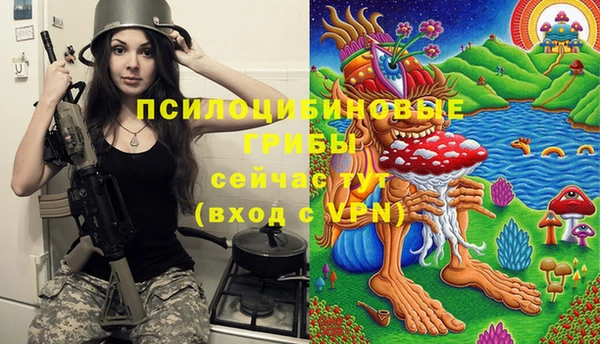 бошки Михайловск