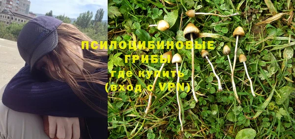 бошки Михайловск