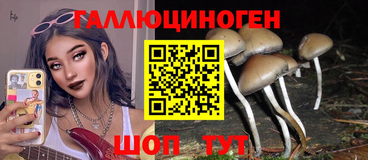 Галлюциногенные грибы GOLDEN TEACHER  купить закладку  Новоалександровск  Вход с VPN 
