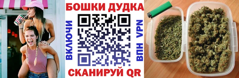 цена наркотик  MEGA ссылки  Канабис SATIVA & INDICA  Новоалександровск 